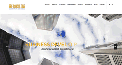 Desktop Screenshot of bbf-consulting.net